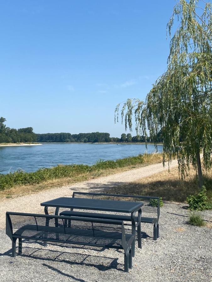 Ferienhaus Hoffmann Am Rheinbogen Altlussheim Экстерьер фото