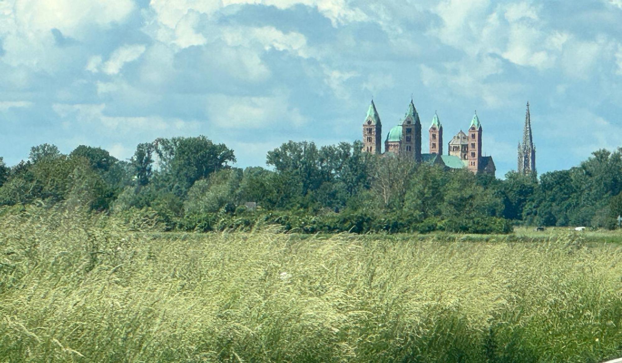 Ferienhaus Hoffmann Am Rheinbogen Altlussheim Экстерьер фото